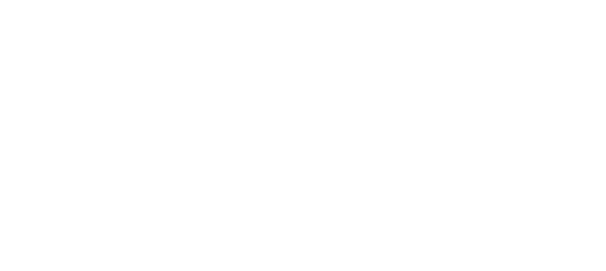 Fast Tyre